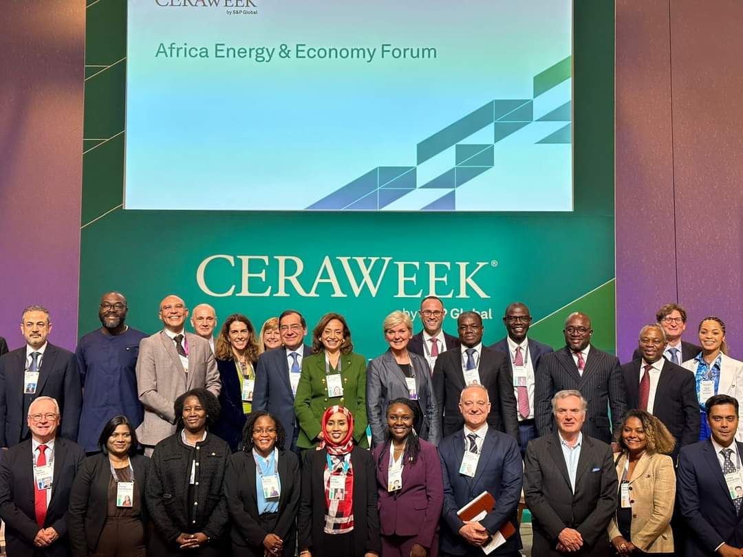 منتدى الطاقة والاقتصاد الأفريقى