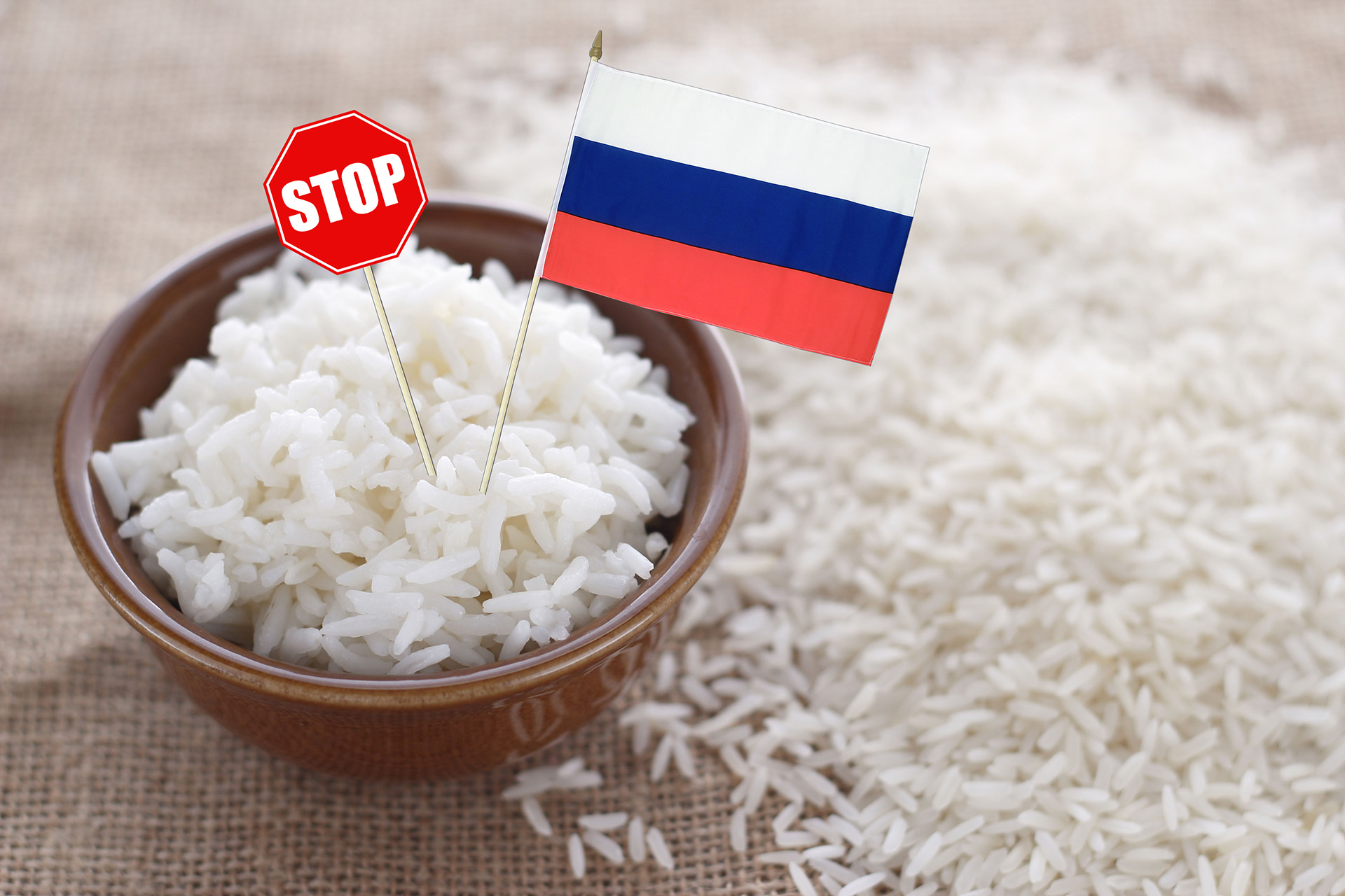حظر تصدير الأرز الروسي حتى نهاية 2023